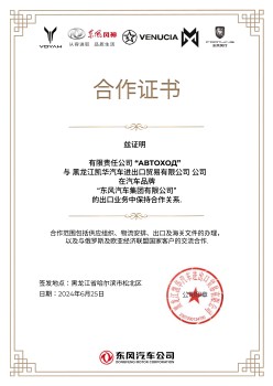 Dongfeng Motor Group