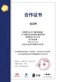 BYD Co Ltd